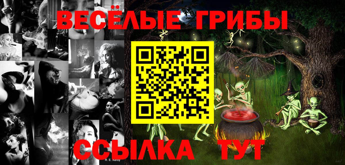 МЕТАДОН Десногорск