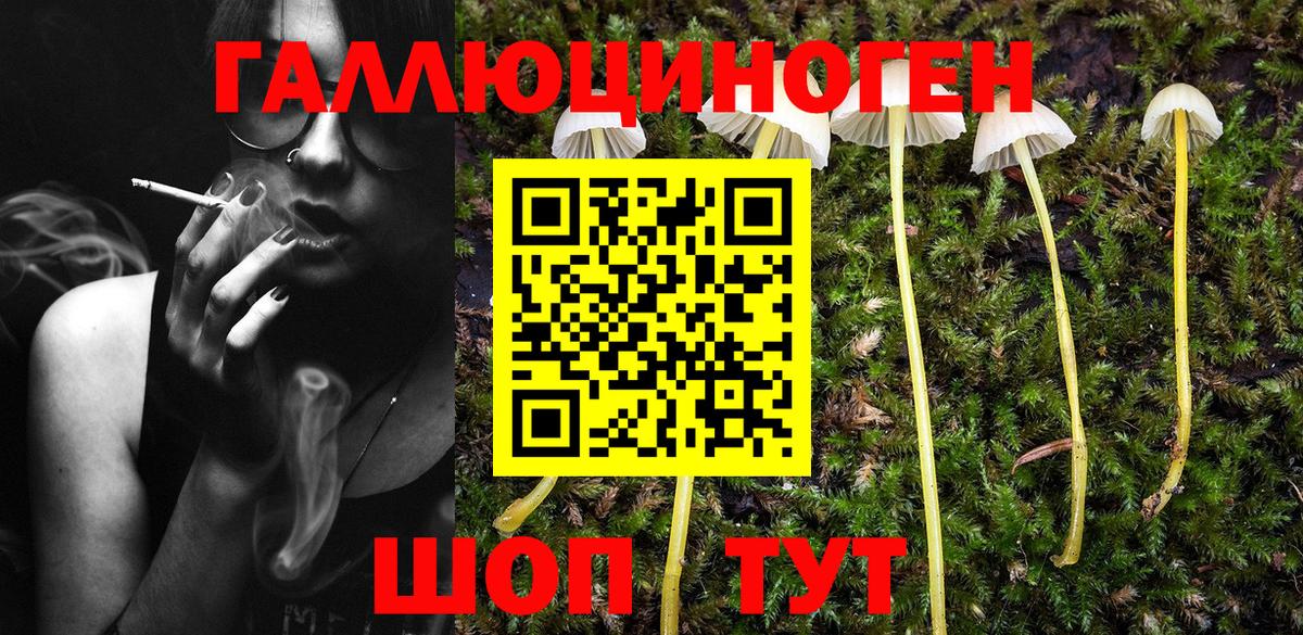 Псилоцибиновые грибы MAGIC MUSHROOMS  Вход с VPN  Десногорск 