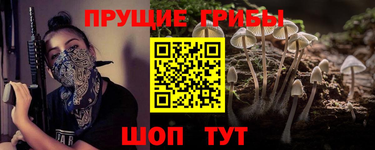 Галлюциногенные грибы прущие грибы Десногорск
